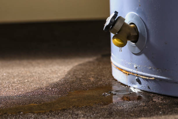 Best Mold removal after water damage  in Northchase, NC