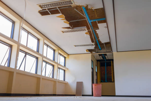 Best Water damage restoration process  in Northchase, NC