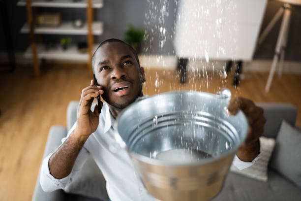 Best Water damage restoration near me  in Northchase, NC