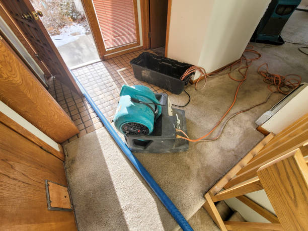 Best Local water damage restoration  in Northchase, NC