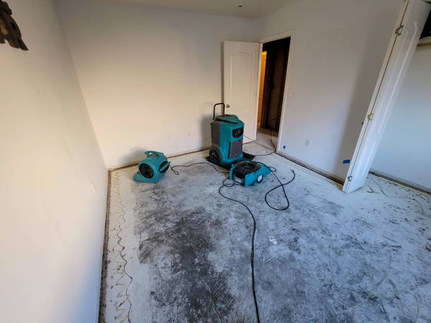 Best Water damage cleanup near me  in Northchase, NC