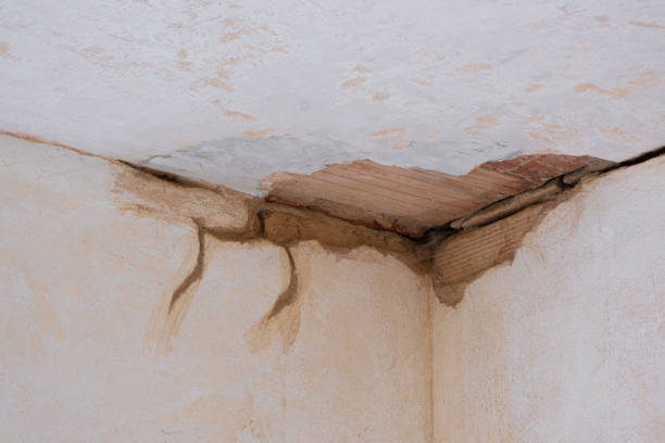 Best 24-hour water damage restoration  in Northchase, NC