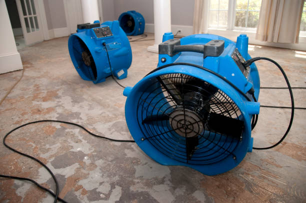 Best Water damage restoration process  in Northchase, NC