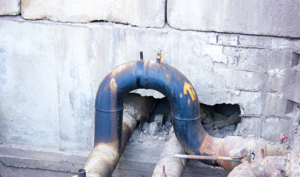 Best Professional water damage repair  in Northchase, NC