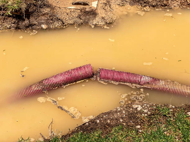 Best Basement water damage restoration  in Northchase, NC