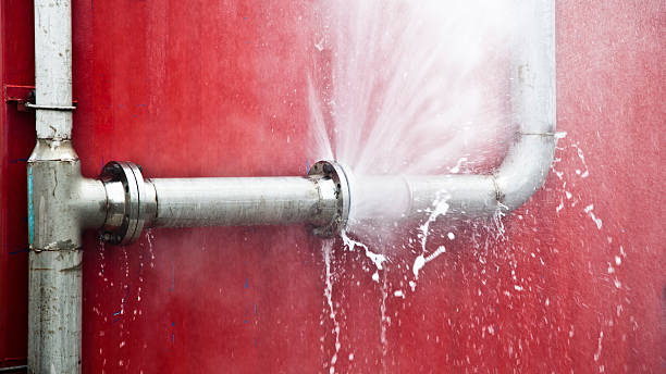 Best 24/7 water damage repair  in Northchase, NC